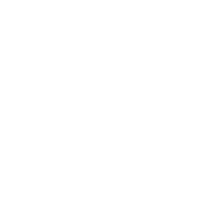 Singularity Voices